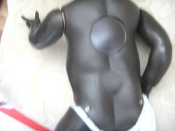 pedigree black red white_02